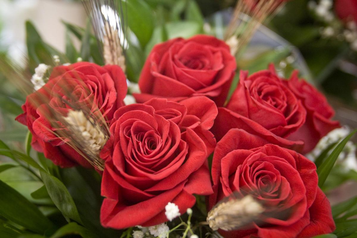 venta de Roses per Sant Jordi Nebridi Aróztegui (7)
