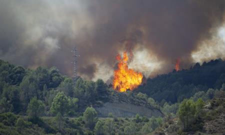 Incendi forestal Pont de Vilomara parc natural sant llorenç i l'Obac Alberto Tallón (8)